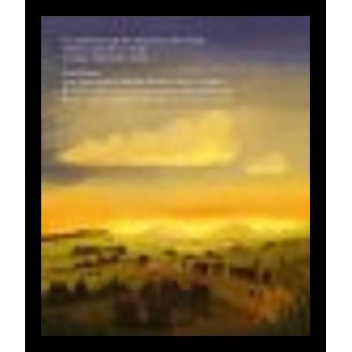 

terbaru !!! buku little pilgrim's big journey, part i - tyler van halteren ready