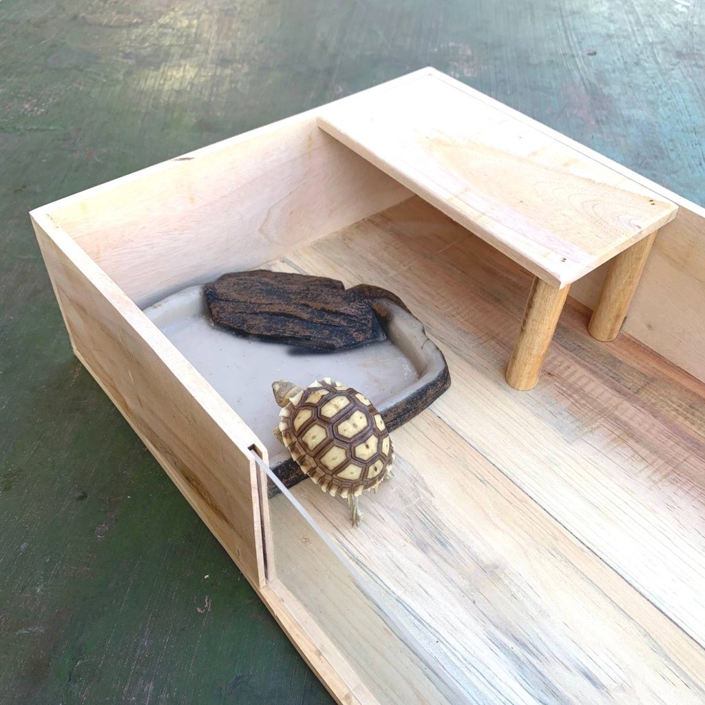 PROMO KANDANG Torto Table Kandang Tortoise Sulcata Kandang Kura Kura Kandang Kayu
