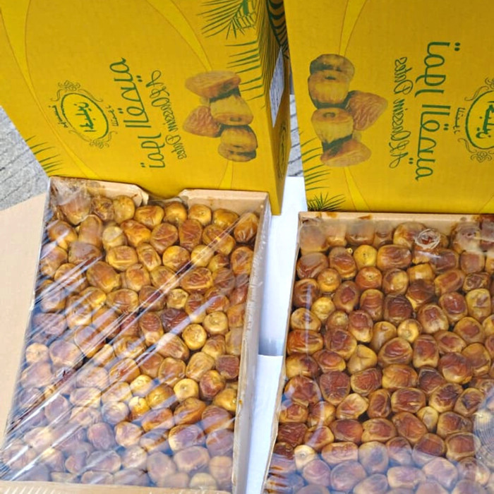 

Grosir Murah Kurma Sukkari Sukari Al Qosim Box Dus Isi 3 Kg