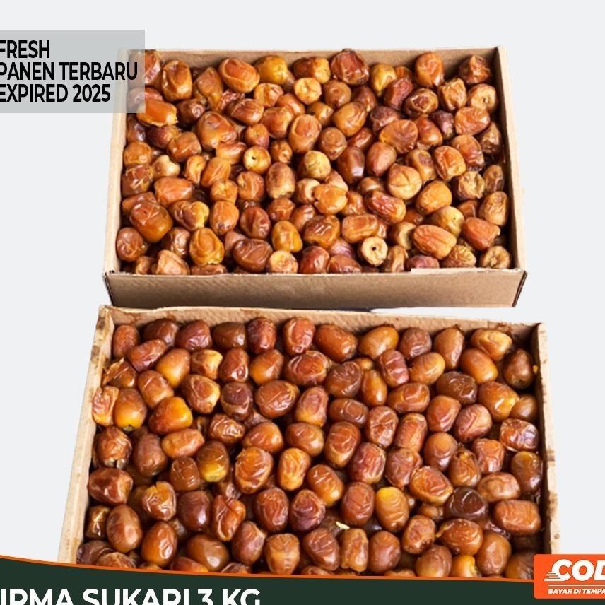 

Kurma Sukari 3 Kg / Kurma Basah / Kurma Raja Sukari Al Qassim