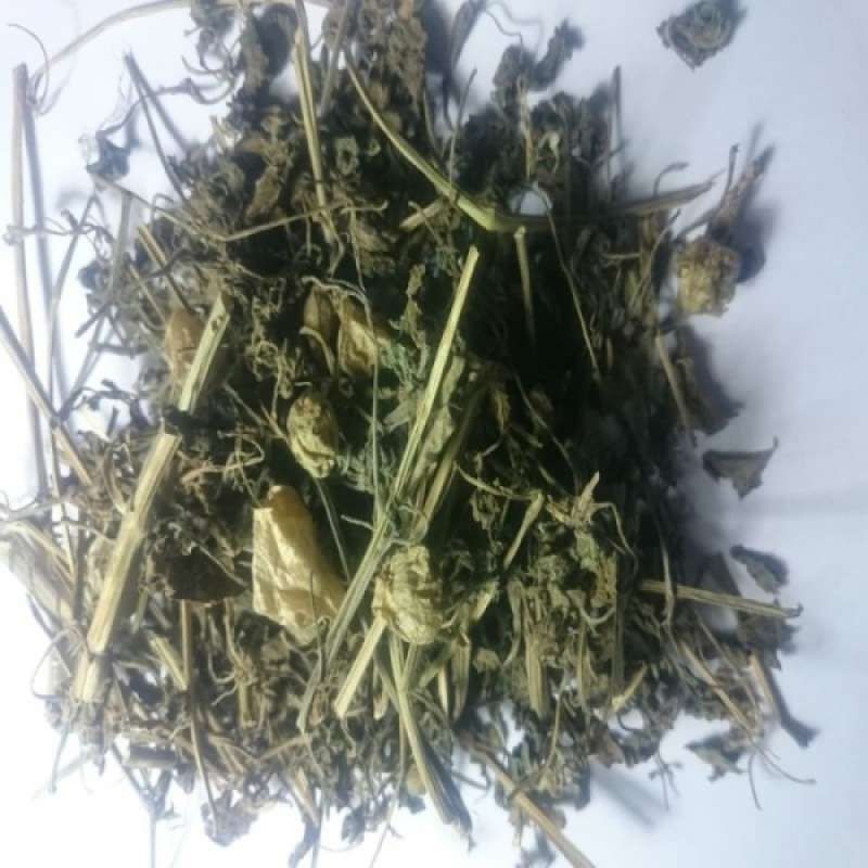 

Daun Ciplukan Kering/Cecenet 100g Segar