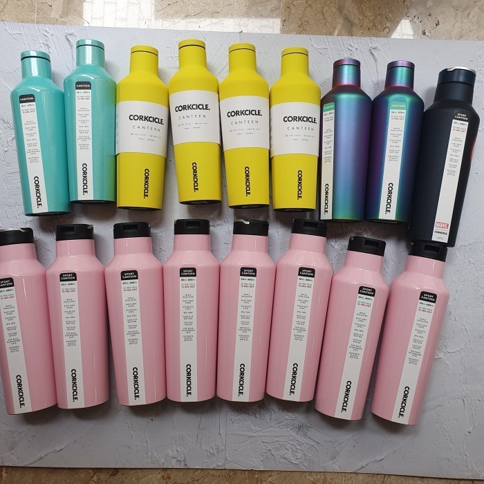 Terbaru Corkcicle Canteen Sport Tumbler Terbaik