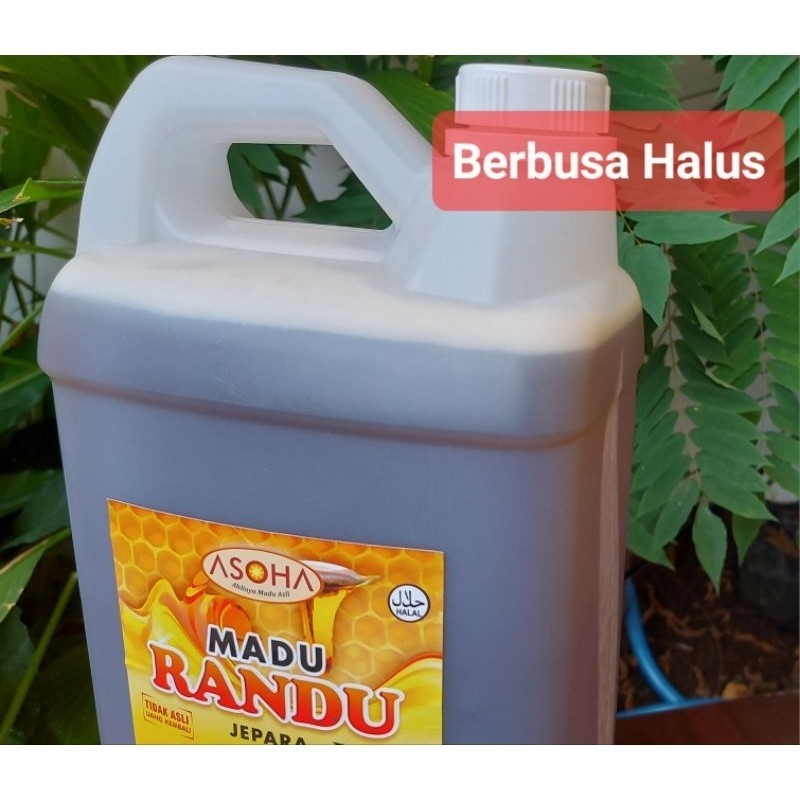 

Madu Randu Jepara 7kg Grosir Madu Murni Raw Honey ORGANIC