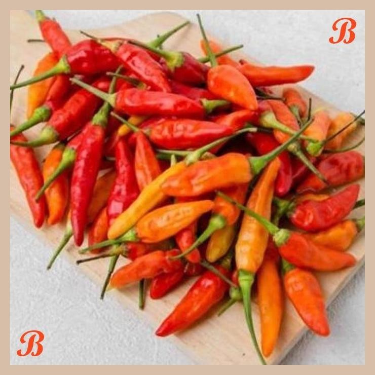 

| HOF | CABAI RAWIT MERAH 140 - 150 GR ( FRESH FIRE CHILLIES )