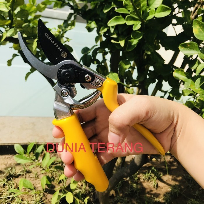 Gunting Dahan Hasston Prohex 1350 - Gt Ranting Haston Super 1350 Grating Ongkir