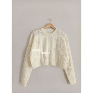 Ryujin Crop Sweater Delani Project Rajut Kepang