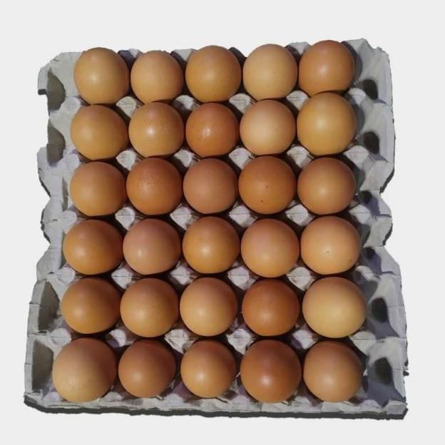 

Telur Negri Lokal Fresh 1 tray isi 30 butir/natalianataliah/