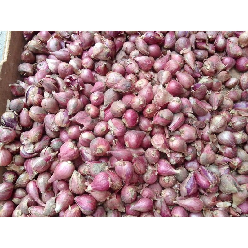 

Bawang Merah 250 gram