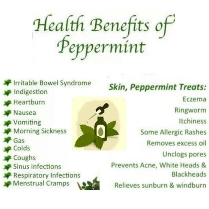 

Peppermint Dandelion Chrysanthemum Herbal Tea (2G X 30 Tea Bag)