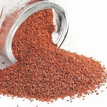 

F67A Garden Cress Seed - Biji Selasih Merah - Obat Sakit Lutut & Diabetes