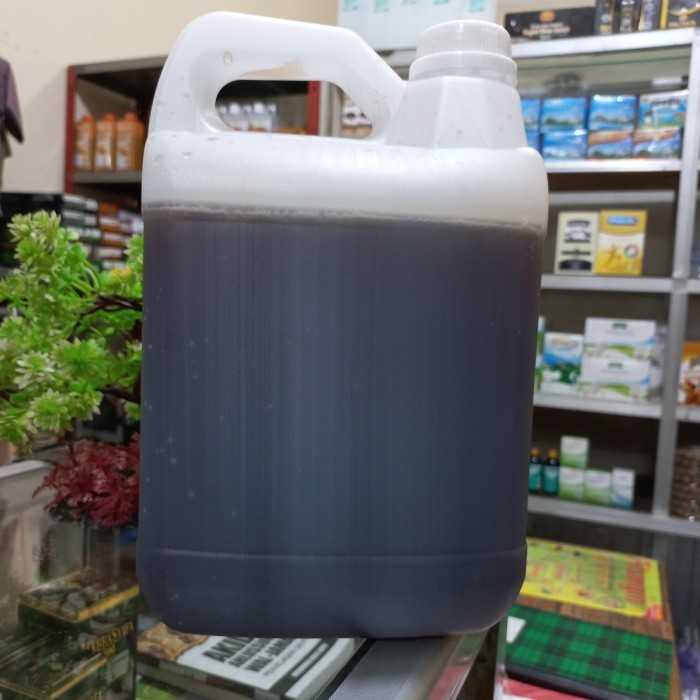 

Madu Murni Multiflora 5 kg Madu Multiflora Plosan Kemasan Jrigen 5kg