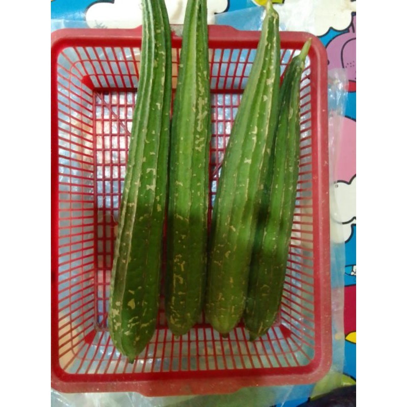 

Sayur Oyong