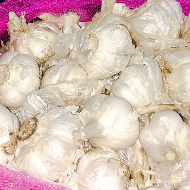 Bawang Putih Kating 1 kg Murah / Garlic -s27