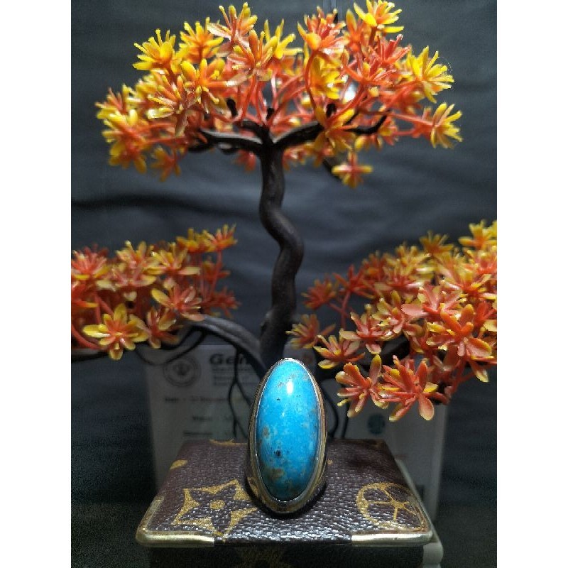 Pirus Persia Hampir Polos