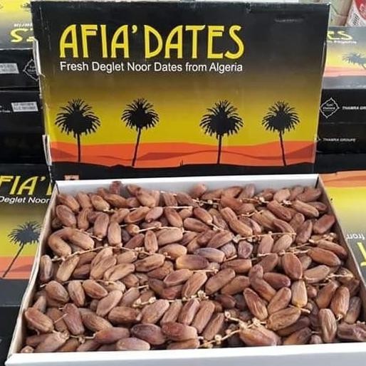 

Kurma Tunisia Tangkai/Alfia 5Kg