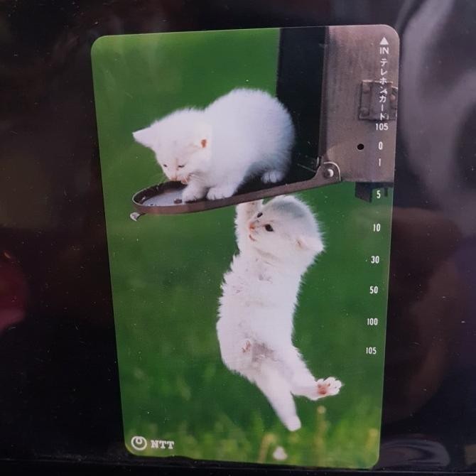 

Kartu telpon jepang seri kucing