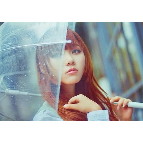 Payung Transparant Payung Bening Payung Korea Payung Transparan