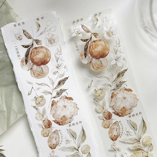 

Freckles Tea Tangerine Orange Washi and PET Tape