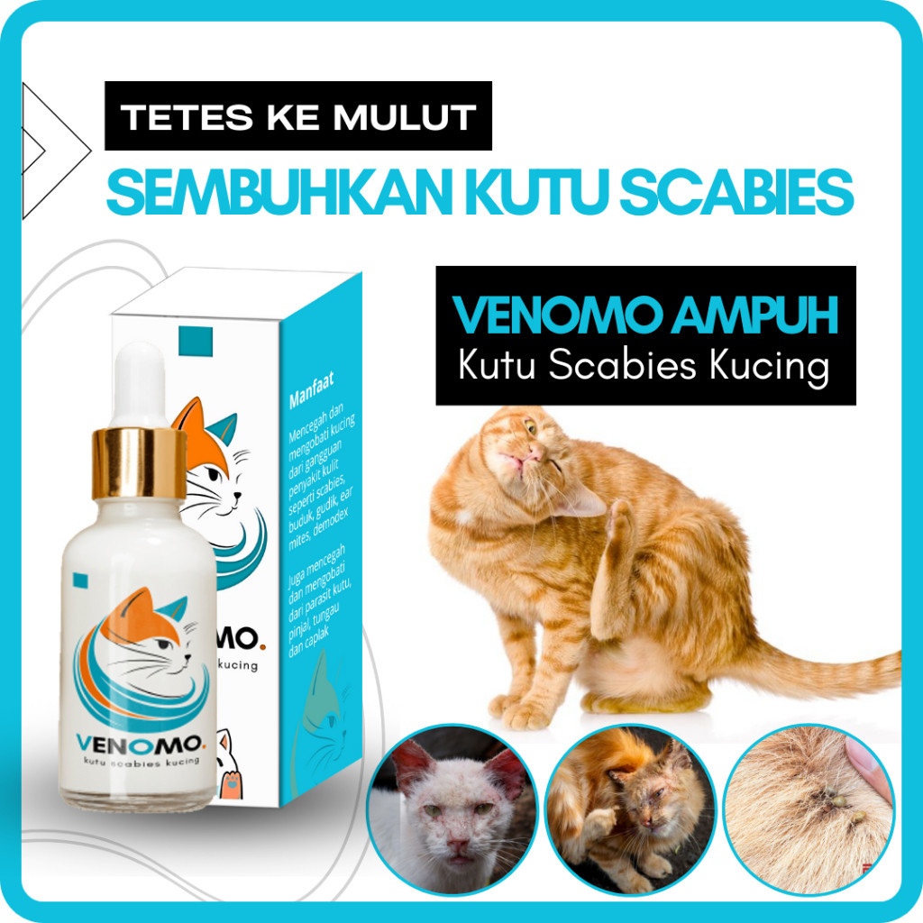 Venomo - Paket lengkap obat kutu dan scabies kucing, obat tetes kutu paling ampuh atasi kutu Scabies