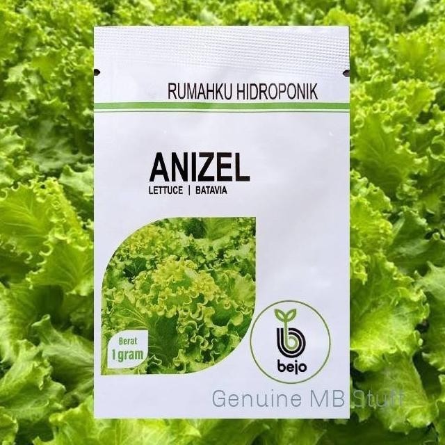 New Spesial Benih Bibit Selada Keriting Anizel Naked Seed Bedjo 1 Gr Isi
