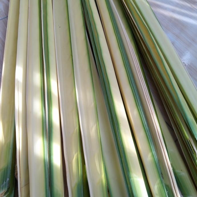 

janur kuning ketupat 1 kg