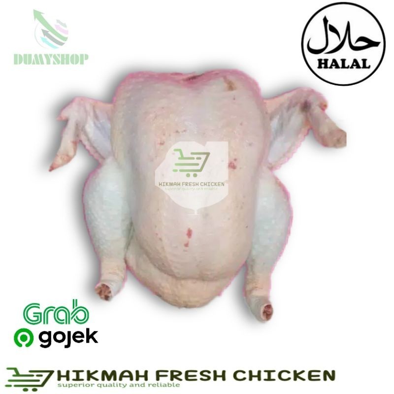 

Daging Ayam Potong Peren Petelur Utuh Fresh Premium -Gratisongkir