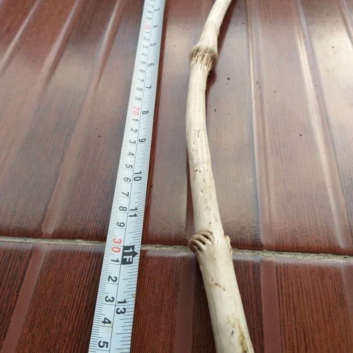 

Kayu Tlogosari Asli Alam Asal Gunung Salak2