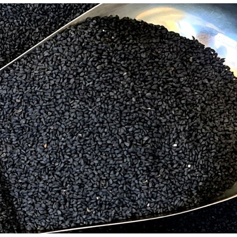 Victory Seed - Bibit Benih Jintan Hitam (Isi 5 Gram)