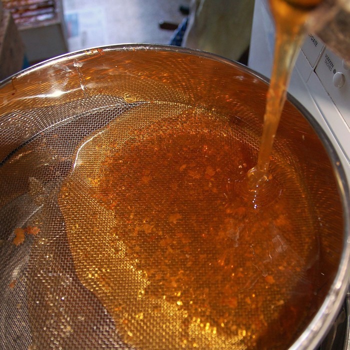 Mesin Peras Madu Honey Extractor Hand 2 Frames Stainless Steel