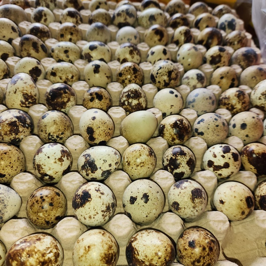 Telur Puyuh - 1 kg