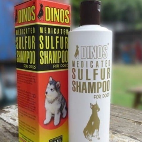 Shampoo Anjing Dinos Medicated Sulfur 500Ml / Shampoo Gatal Anjing