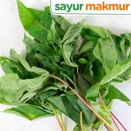 

Daun Singkong Konvensional 250 gram Sayurmakmur