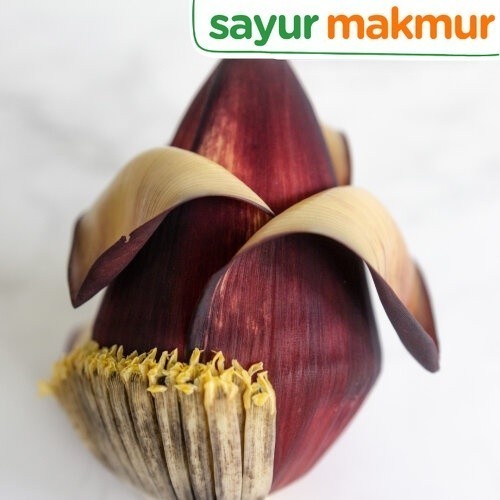 

Jantung Pisang Konvensional 1 pcs Sayurmakmur