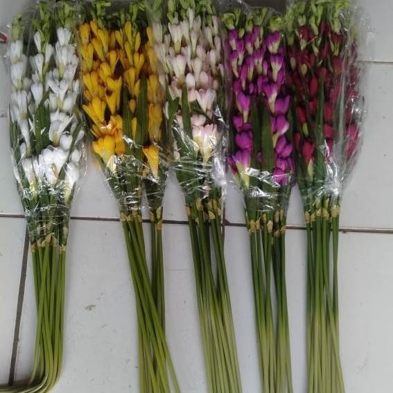 Bunga Sedap Malam Bunga Plastik