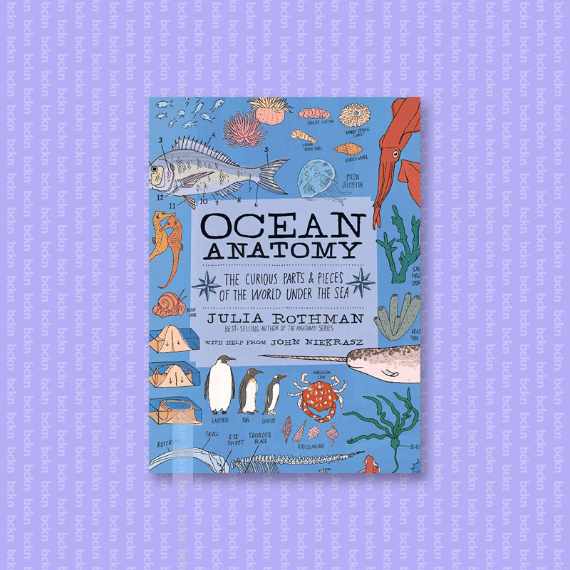 

Ocean Anatomy - The Curious Parts & Pieces - Julia Rothman