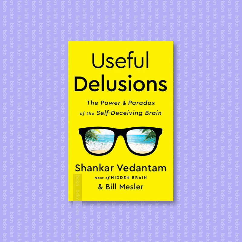 

Useful Delusions - Shankar Vedantam