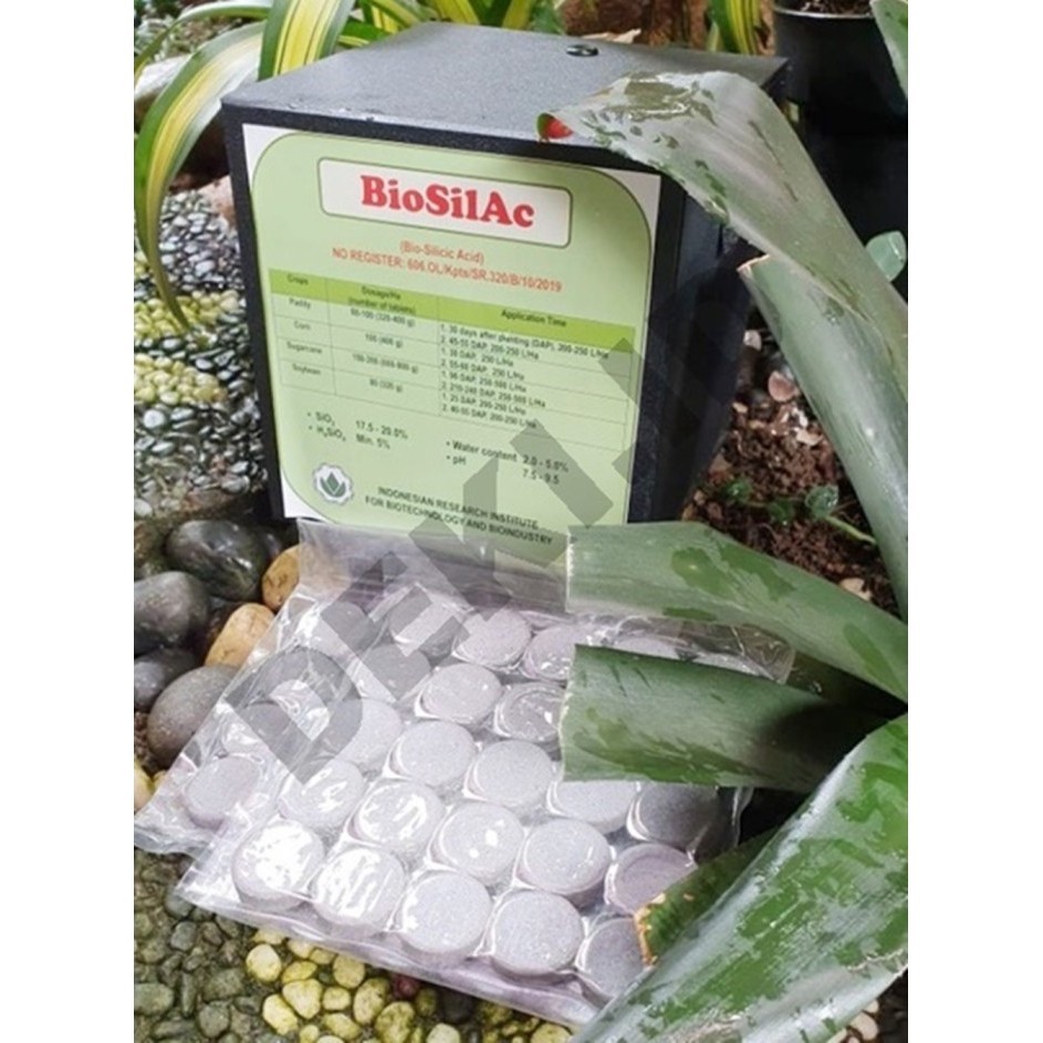 Pupuk Silika Biosilac Tablet Silica Murni Tanaman Buah Sayur Hias