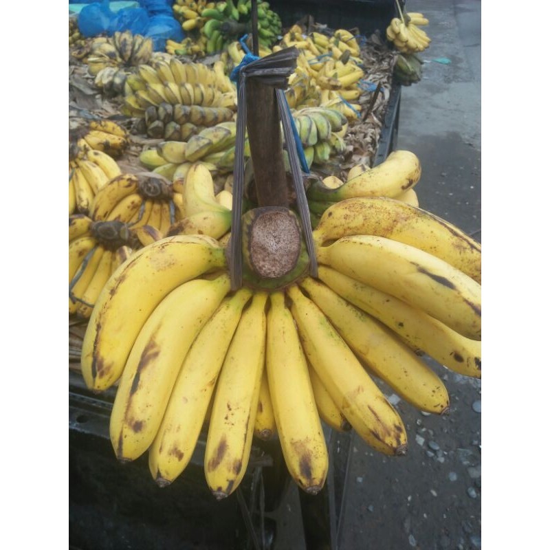 

Pisangbaranganmurah