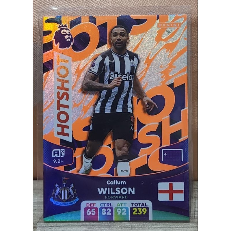 panini football card premier league edition