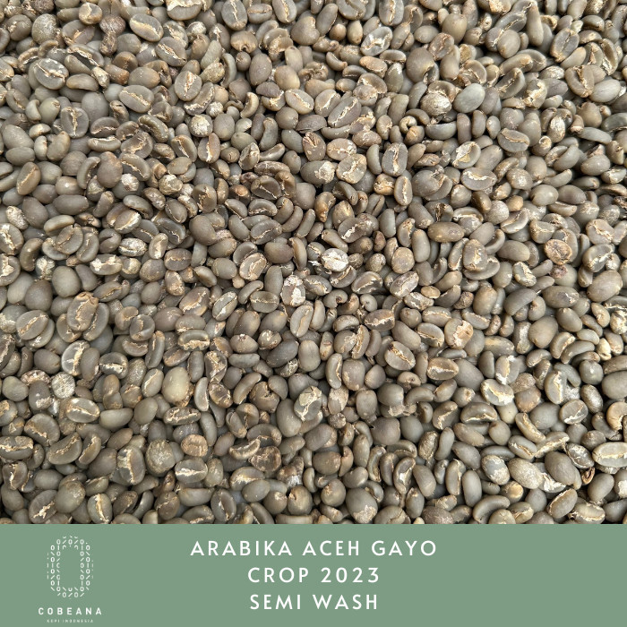 

Biji Kopi Arabika Aceh Gayo 1Kg Greenbean