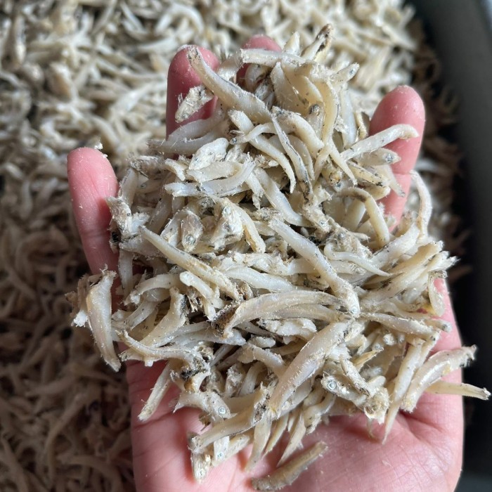 

Ayala - Ikan Teri Buntiau / Buntiao / Buntiauw Medan 500Gram