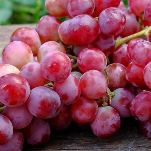

buah anggur merah import fresh 500 gram
