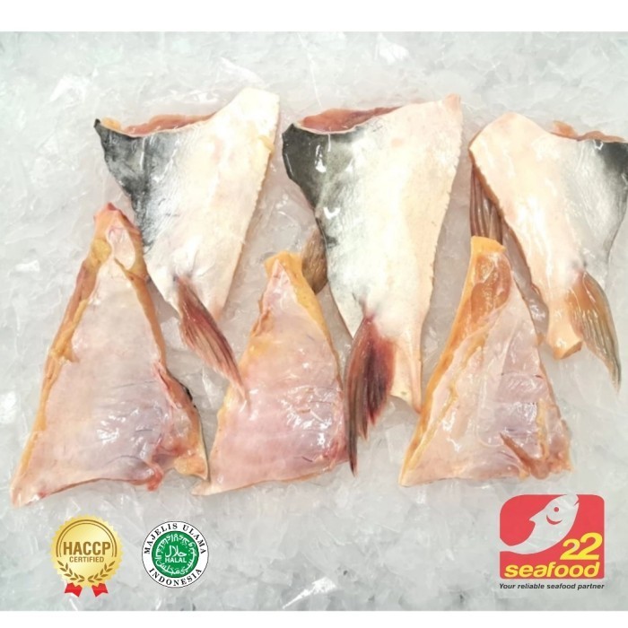 

Ayala - Ikan Patin / Daging Belly 500 Gr / Frozen Belly Meat / Seafood 22