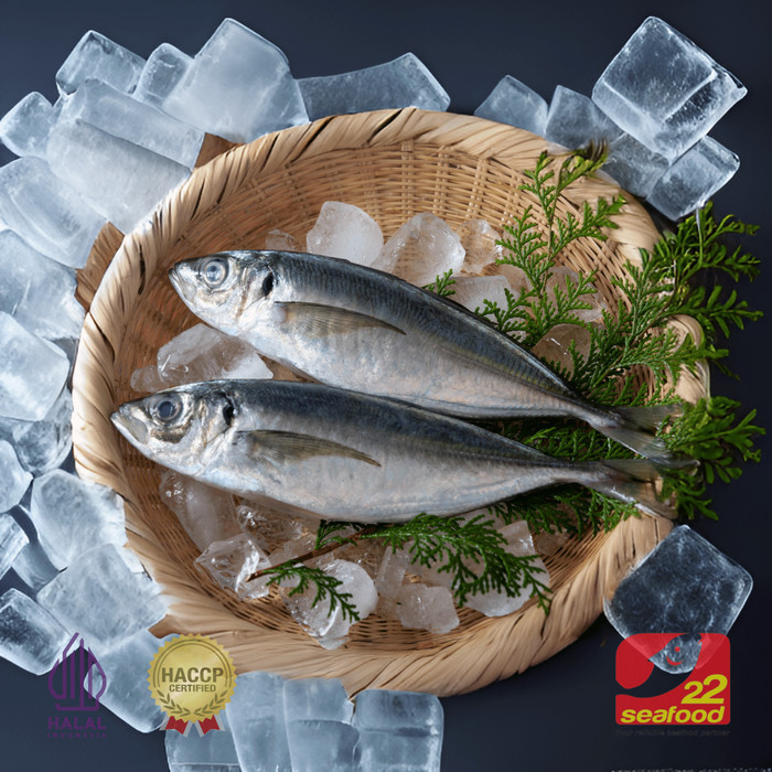 

Ayala - Ikan Bentrong / Bentrong 1 Kg / Ikan Laut / Seafood 22