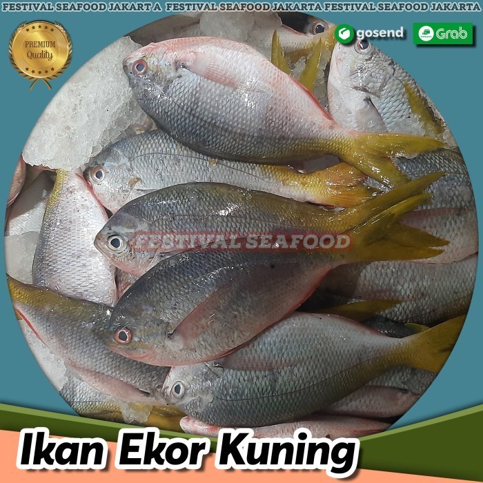 

Ayala - Ikan Ekor Kuning 500Gram/ Ikan Laut Segar / Fresh Fish / Fresh Seafood