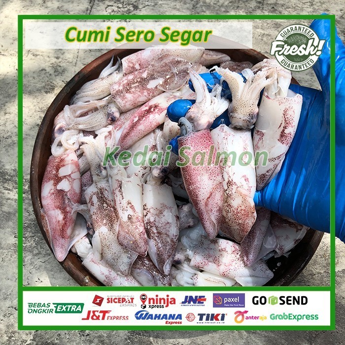 

Ayala - Cumi Sero Segar Seafood 500Gr - Cumi Laut Utuh Fresh - Ikan Laut Cumi