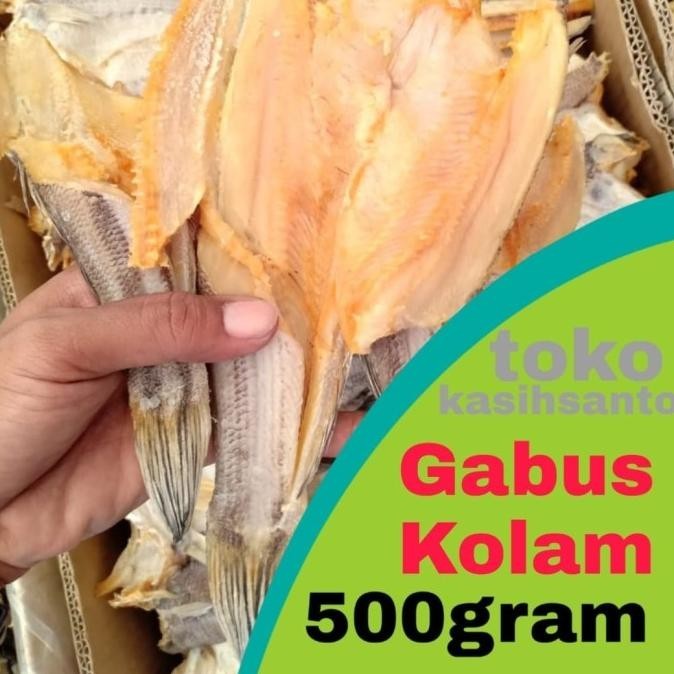 

ikan asin gabus kolam-500gram