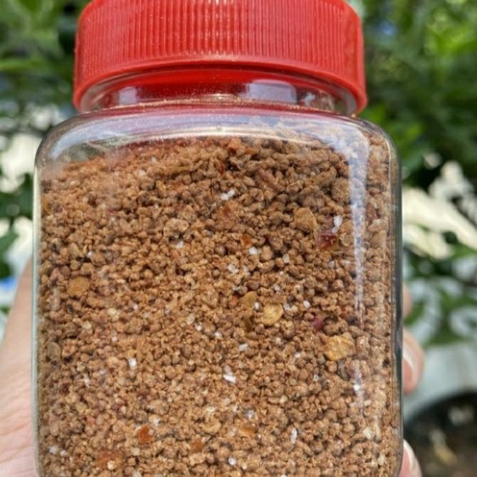 

bubuk bulacan / bubuk terasi