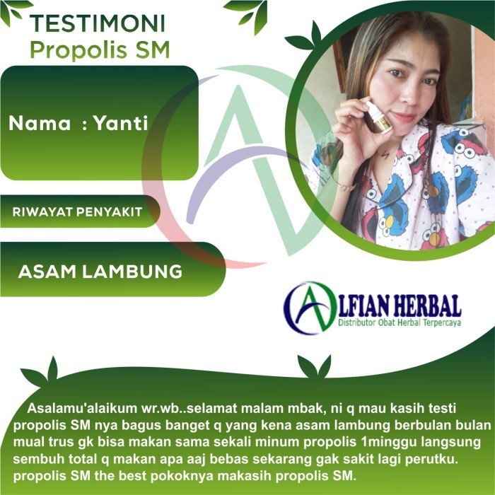 [Original] Propolis Sm Brazil Original Asli Propolis Brazilian Obat Herbal Alami