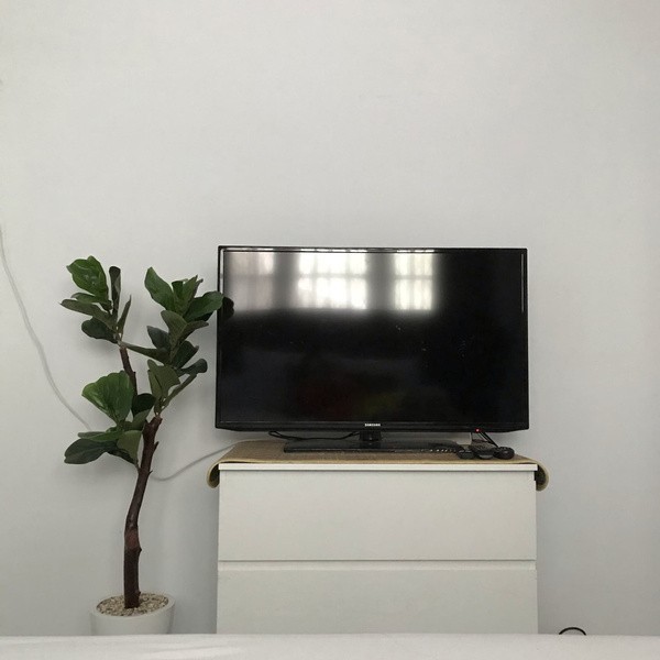 Pohon Hias Ketapang Artificial Tanaman Besar Hiasan Sudut Ruang